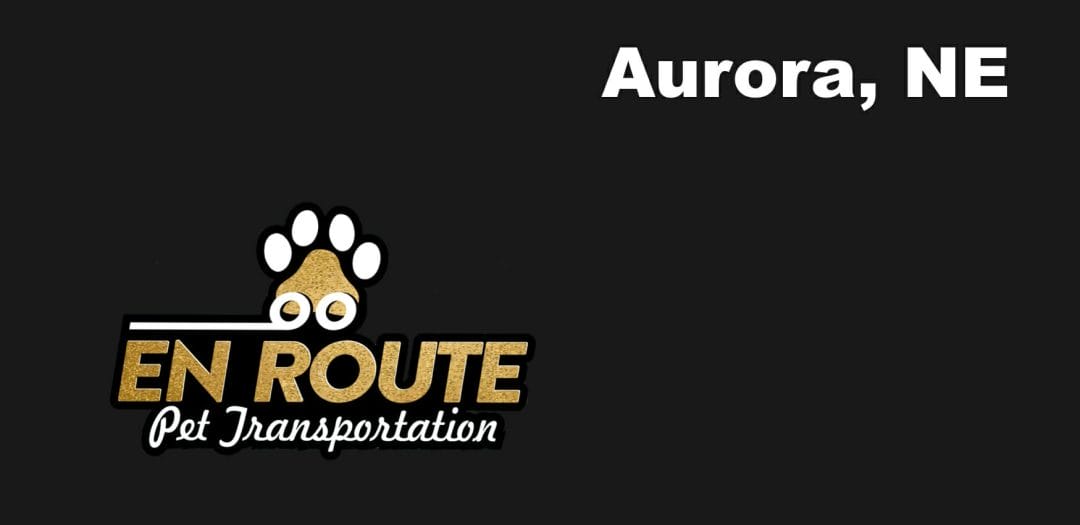 Best VIP private luxury pet ground transportation Aurora, NE.