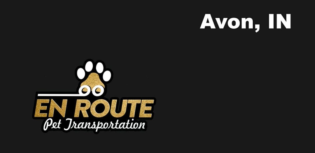 Best VIP Luxury Private Pet Ground Transportation in Avon, IN