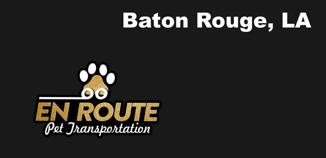 Best VIP private luxury pet ground transportation Baton Rouge, LA.