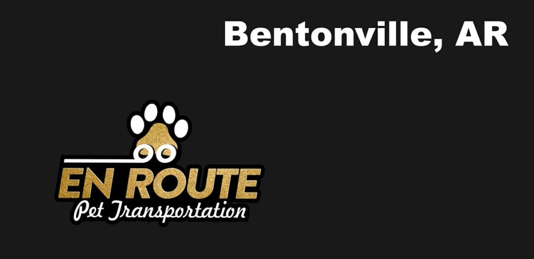 Best VIP private luxury pet ground transportation Bentonville, AR.