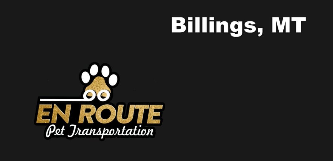 Best VIP private luxury pet ground transportation Billings, MT.