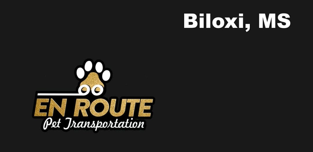 Best VIP private luxury pet ground transportation Biloxi, MS.