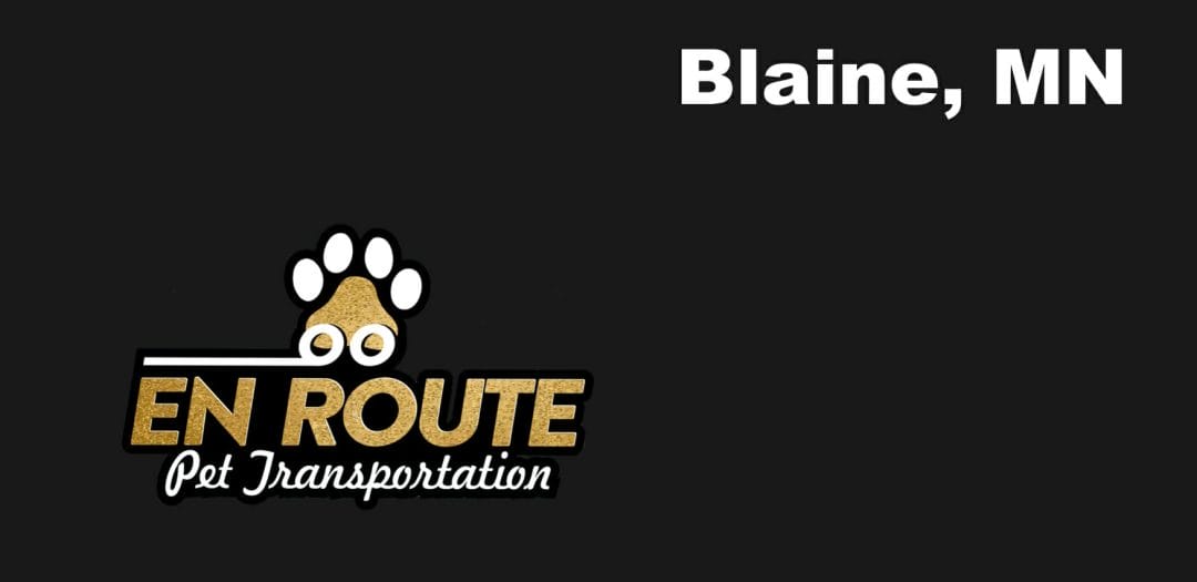 Best VIP private luxury pet ground transportation Blaine, MN.