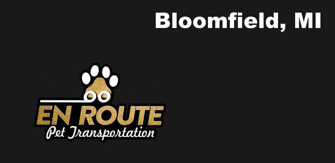 Best VIP Luxury Private Pet Ground Transportation in Bloomfield, MI