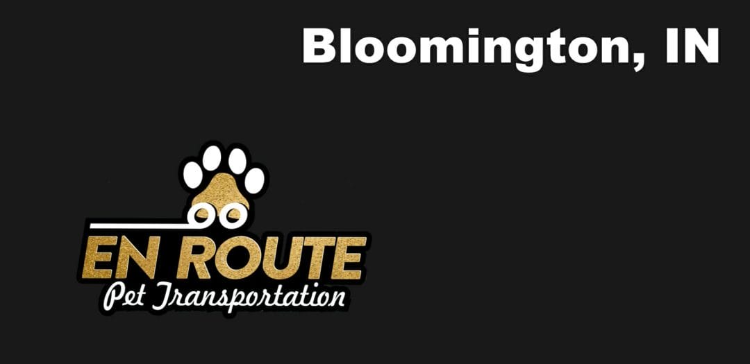 Best VIP Luxury Private Pet Ground Transportation in Bloomington, IN
