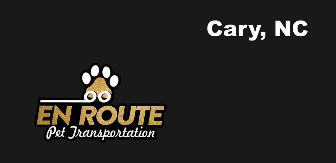 Best VIP private luxury pet ground transportation Cary, NC.