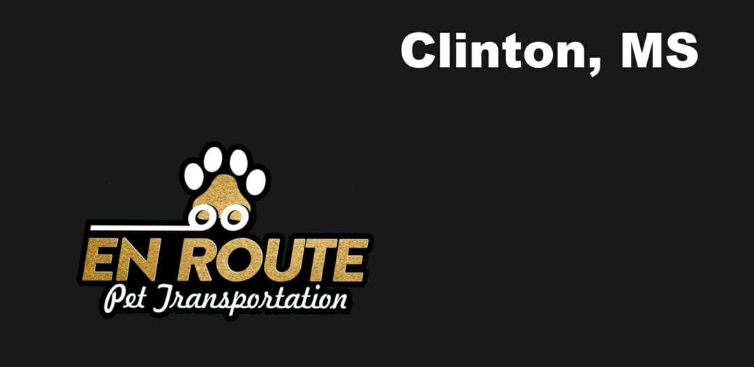 Best VIP private luxury pet ground transportation Clinton, MS.