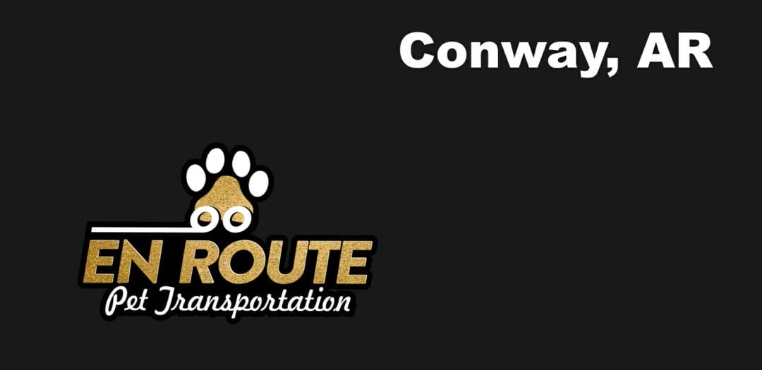 Best VIP private luxury pet ground transportation Conway, AR.