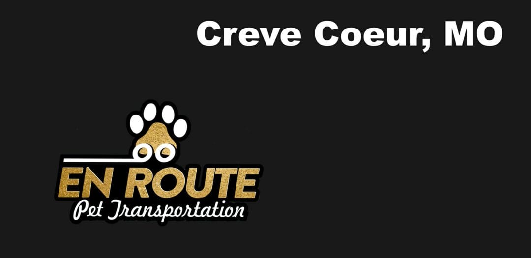 Best VIP private luxury pet ground transportation Creve Coeur, MO.