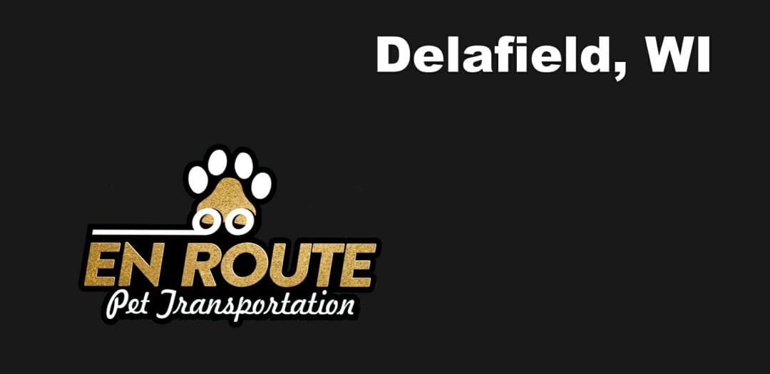 Best VIP Luxury Private Pet Ground Transportation in Delafield, WI