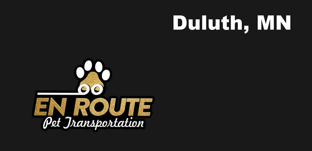 Best VIP private luxury pet ground transportation Duluth, MN.