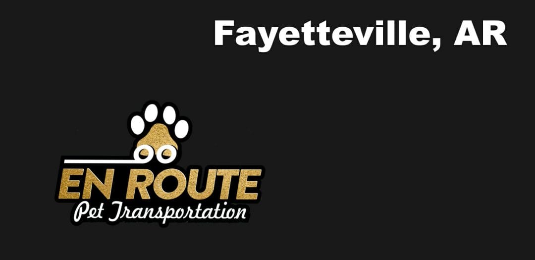 Best VIP private luxury pet ground transportation Fayetteville, AR.