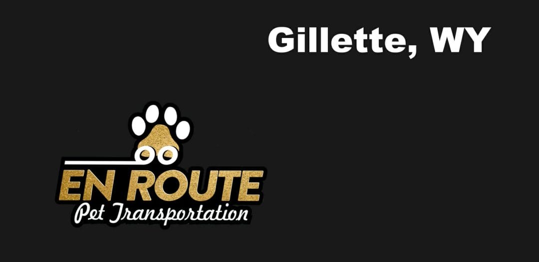 Best VIP private luxury pet ground transportation Gillette, WY.