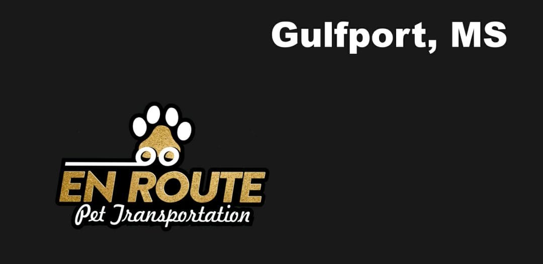 Best VIP private luxury pet ground transportation Gulfport, MS.