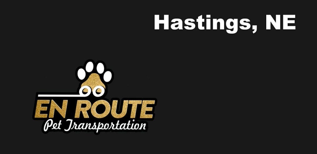 Best VIP private luxury pet ground transportation Hastings, NE.