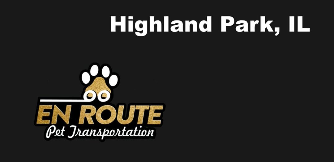 Best VIP Luxury Private Pet Ground Transportation in Highland Park, IL
