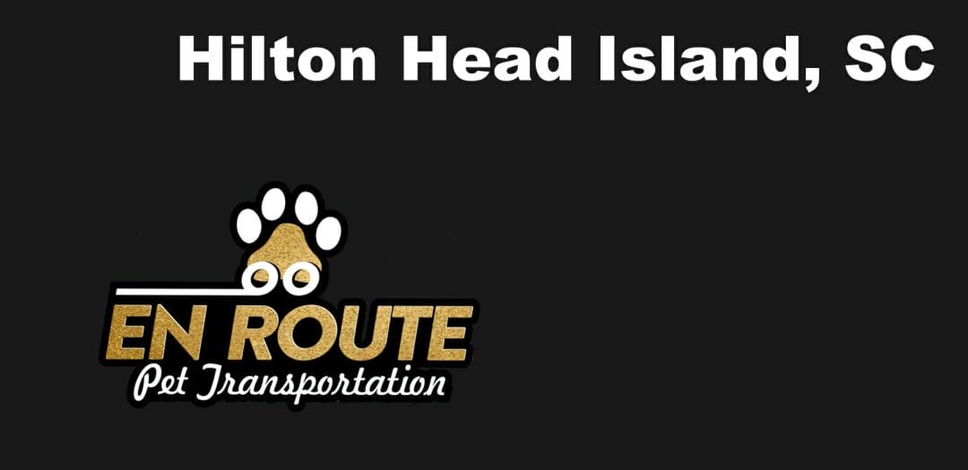 Best VIP private luxury pet ground transportation Hilton Head Island, SC.