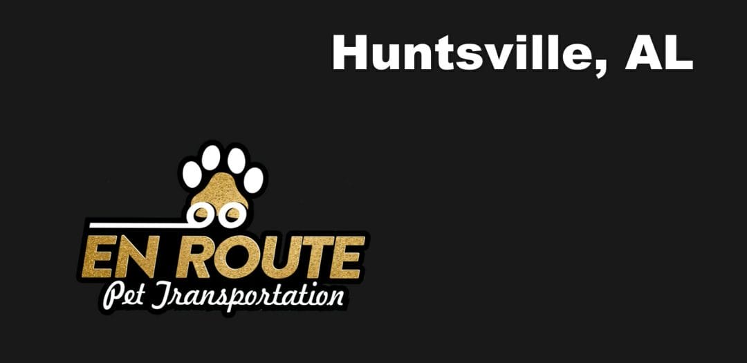 Best VIP Luxury Private Pet Ground Transportation in Huntsville, AL