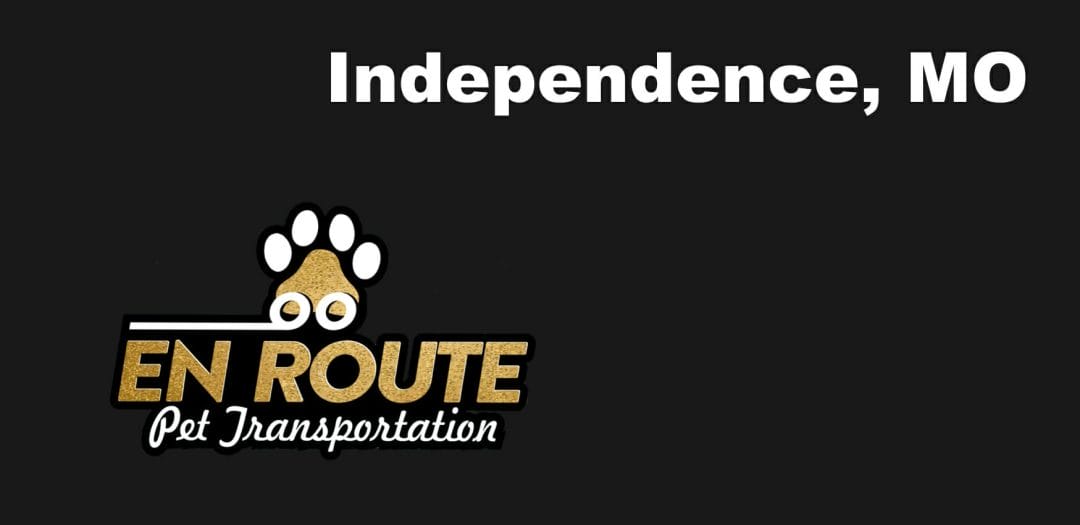Best VIP private luxury pet ground transportation Independence, MO.