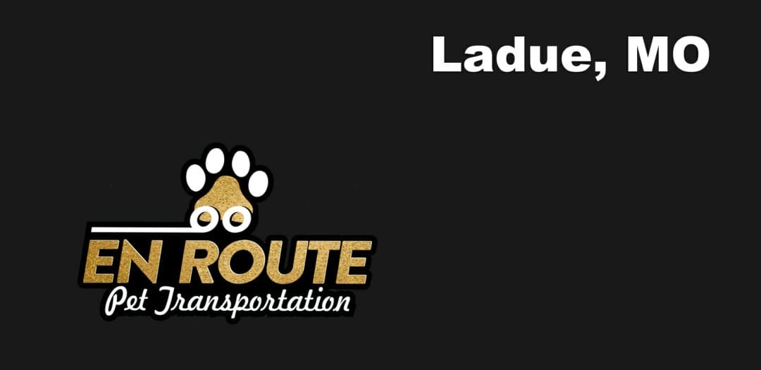 Best VIP private luxury pet ground transportation Ladue, MO.