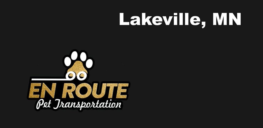 Best VIP private luxury pet ground transportation Lakeville, MN.