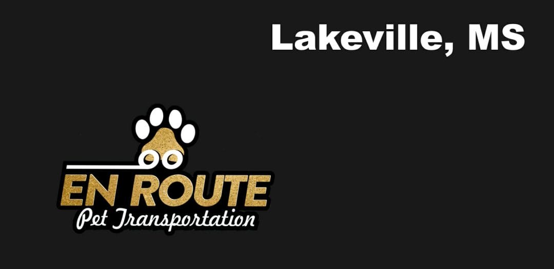 Best VIP private luxury pet ground transportation Lakeville, MS.