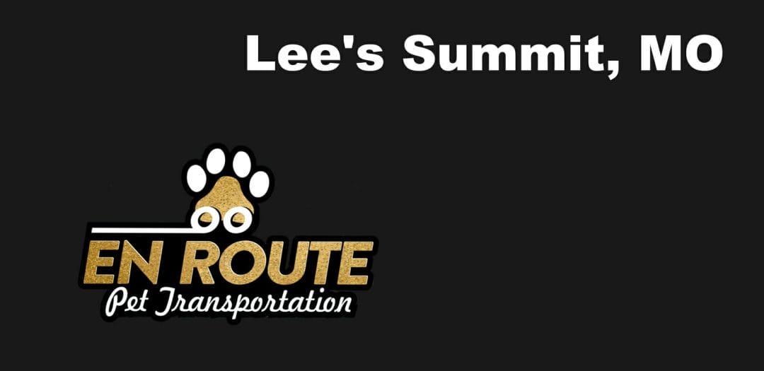Best VIP private luxury pet ground transportation Lee's Summit, MO.