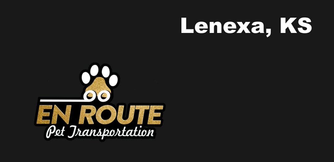 Best VIP private luxury pet ground transportation Lenexa, KS.