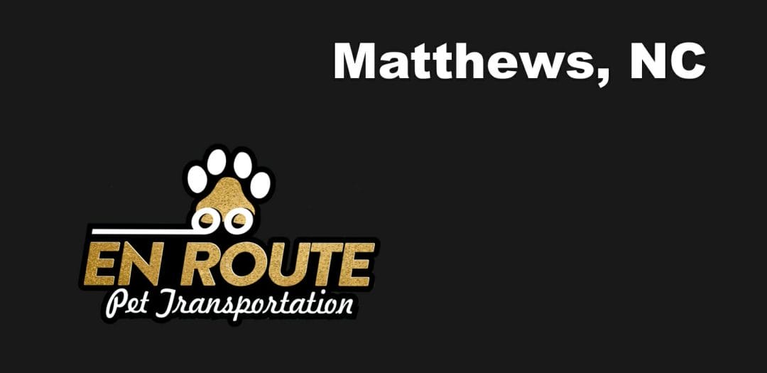 Best VIP private luxury pet ground transportation Matthews, NC.