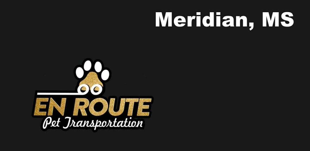Best VIP private luxury pet ground transportation Meridian, MS.