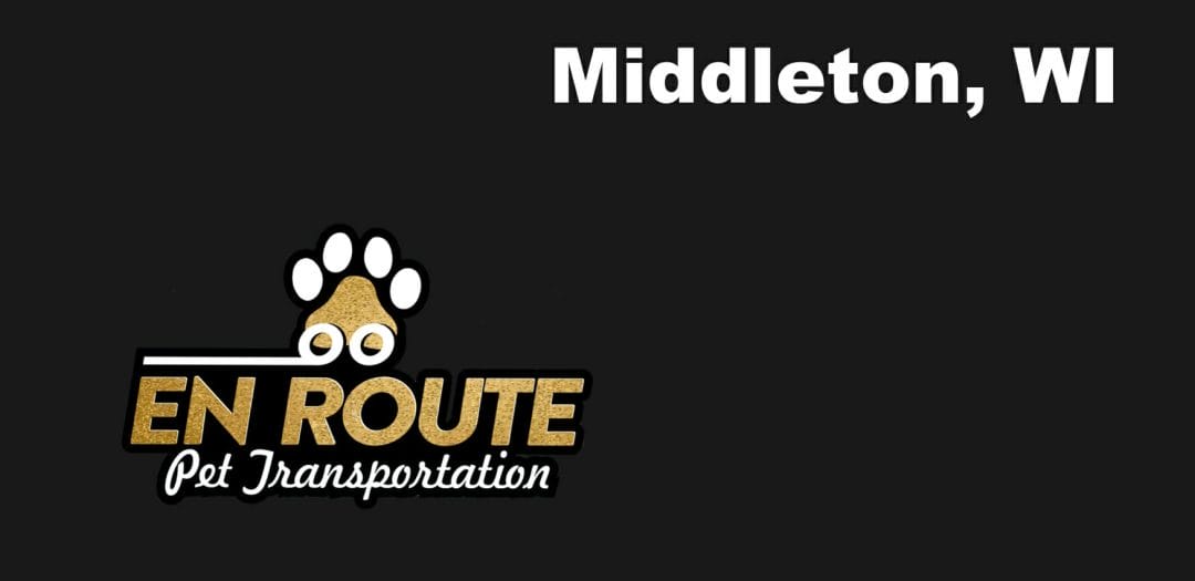 Best VIP Luxury Private Pet Ground Transportation in Middleton, WI