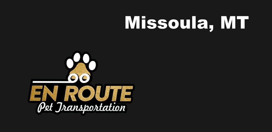 Best VIP private luxury pet ground transportation Missoula, MT.