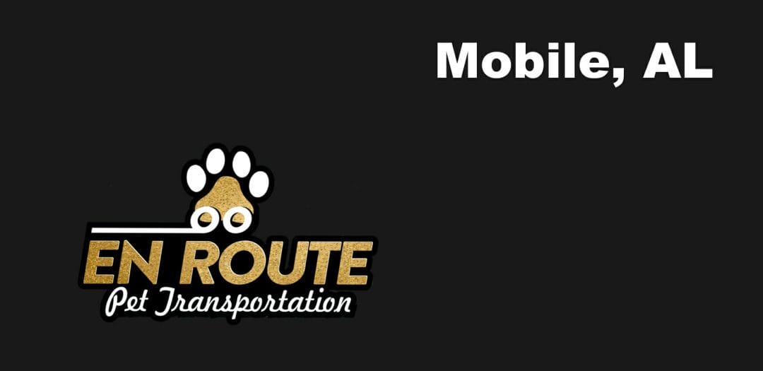 Best VIP Luxury Private Pet Ground Transportation in Mobile, AL