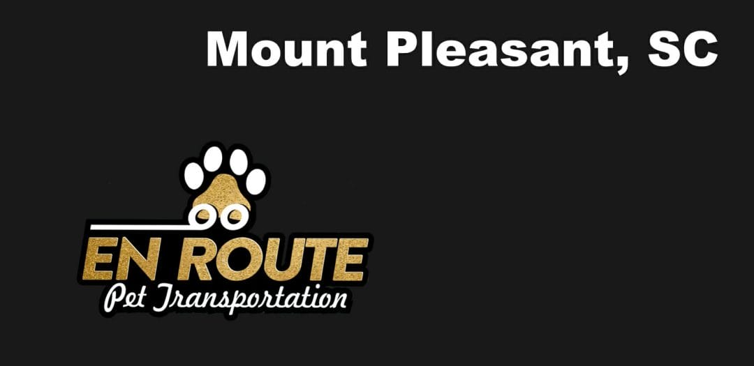 Best VIP private luxury pet ground transportation Mount Pleasant, SC.