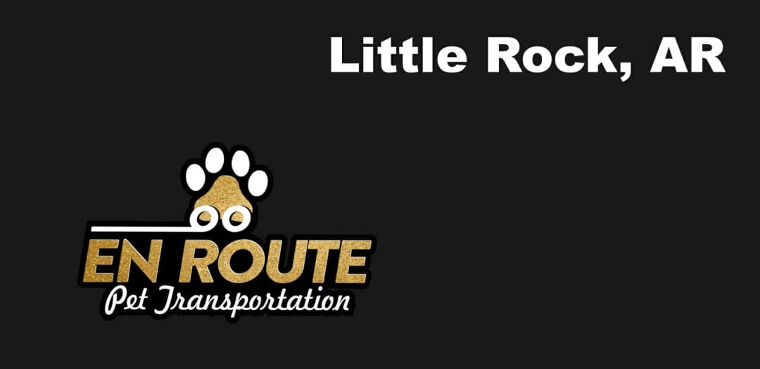 Best VIP private luxury pet ground transportation North Little Rock, AR.