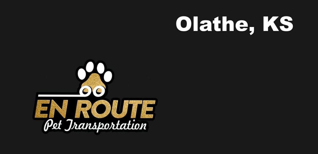 Best VIP private luxury pet ground transportation Olathe, KS.