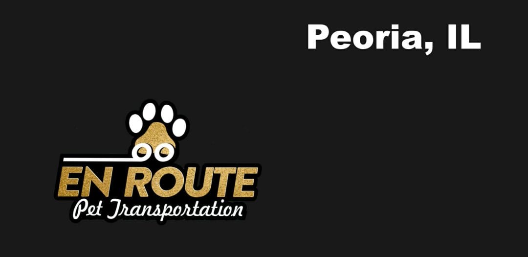 Best VIP Luxury Private Pet Ground Transportation in Peoria, IL
