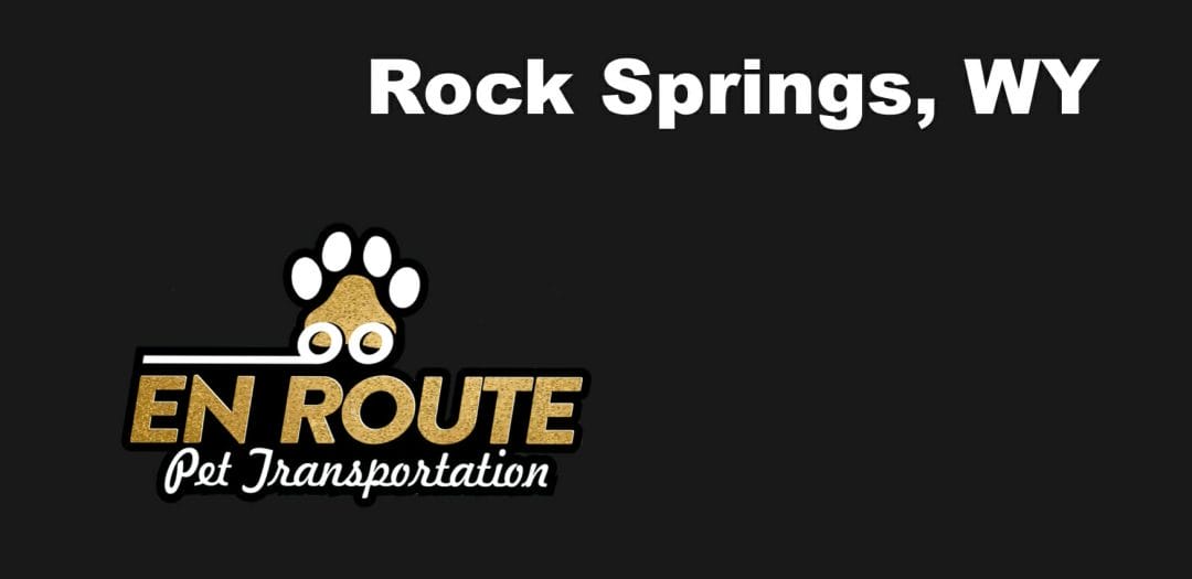 Best VIP private luxury pet ground transportation Rock Springs, WY.