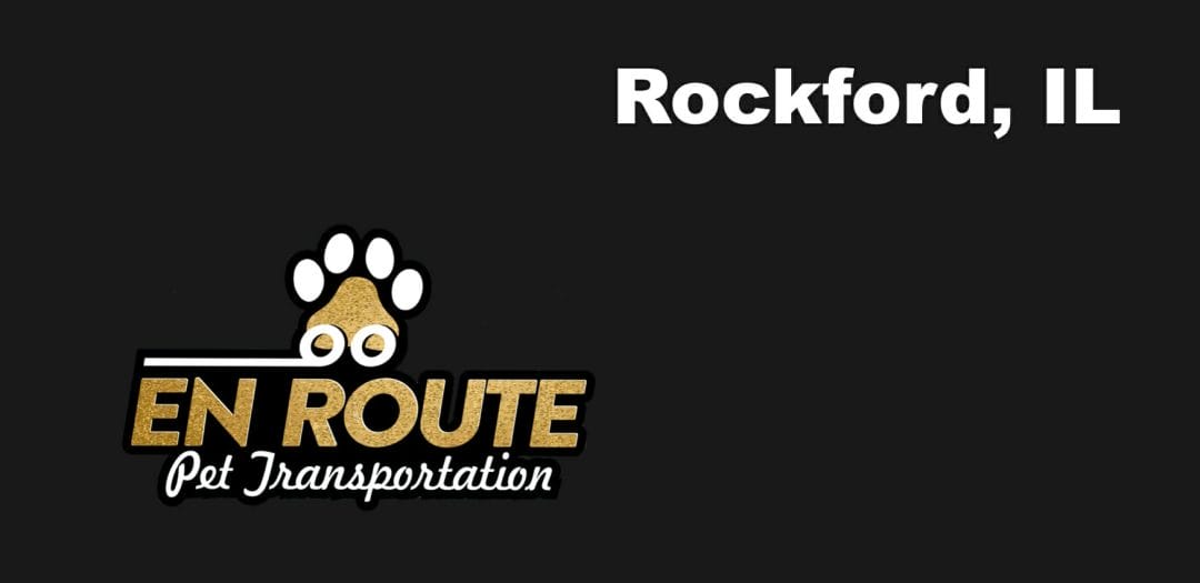 Best VIP Luxury Private Pet Ground Transportation in Rockford, IL