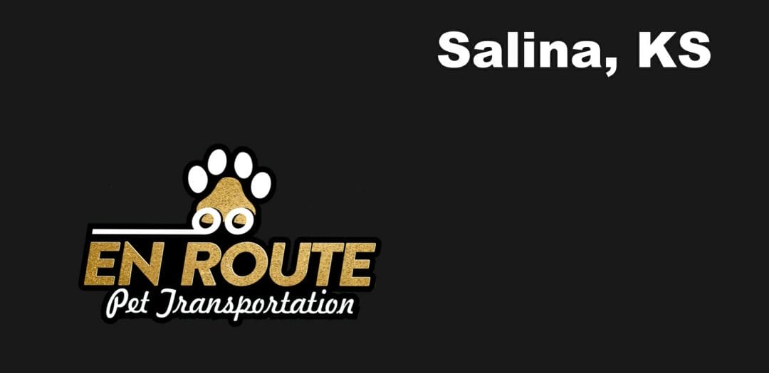 Best VIP private luxury pet ground transportation Salina, KS.