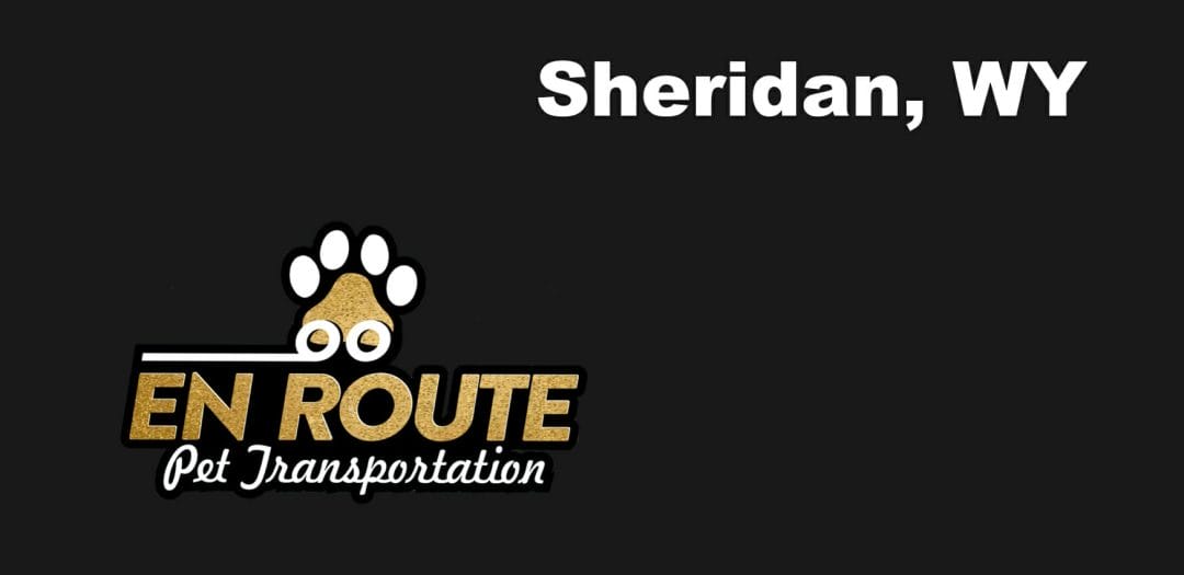 Best VIP private luxury pet ground transportation Sheridan, WY.