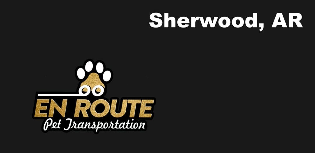 Best VIP private luxury pet ground transportation Sherwood, AR.