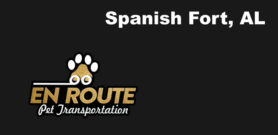 Best VIP Luxury Private Pet Ground Transportation in Spanish Fort, AL