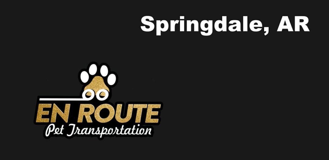 Best VIP private luxury pet ground transportation Springdale, AR.
