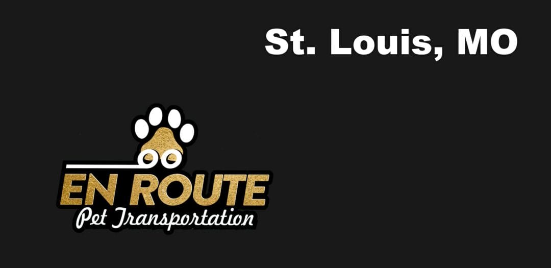 Best VIP private luxury pet ground transportation St. Louis, MO.