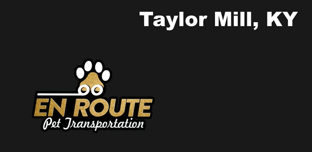 Best VIP Luxury Private Pet Ground Transportation in Taylor Mill, KY