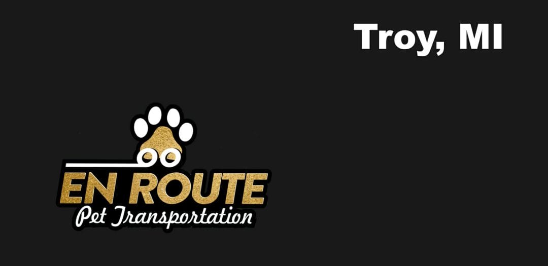 Best VIP Luxury Private Pet Ground Transportation in Troy, MI