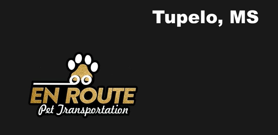 Best VIP private luxury pet ground transportation Tupelo, MS.