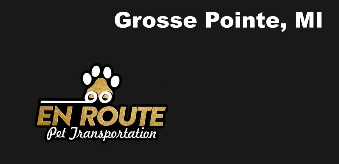 Best VIP Luxury Private Pet Ground Transportation in Grosse Pointe, MI