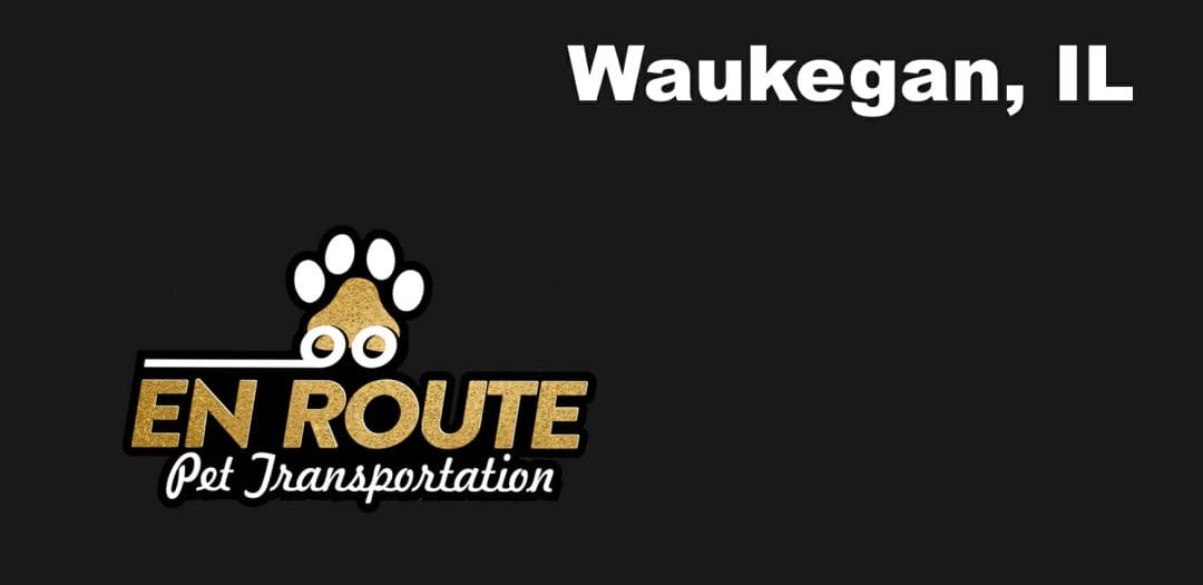 Best VIP Luxury Private Pet Ground Transportation in Waukegan, IL